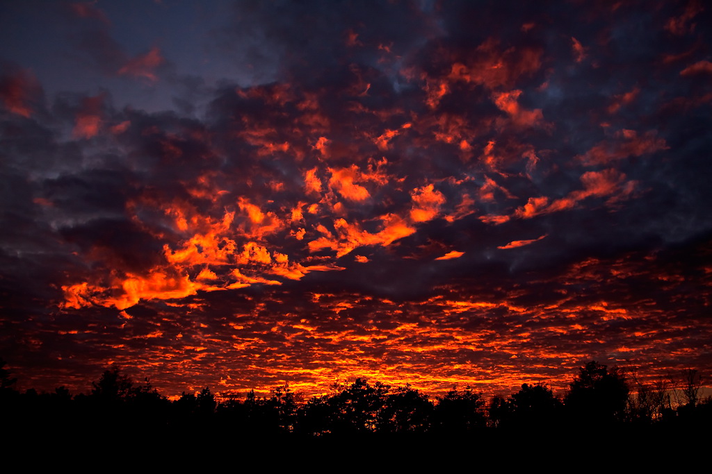 ___Sonnenuntergang im Piezmoor___