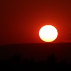 Sonnenuntergang im Polder