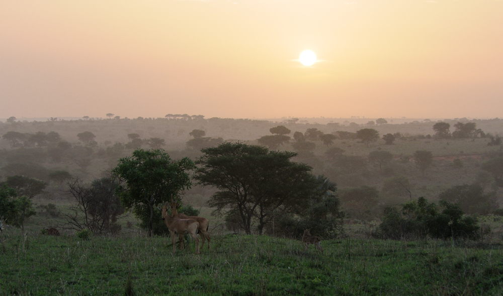 Sonnenuntergang im Queen Elizabeth NP