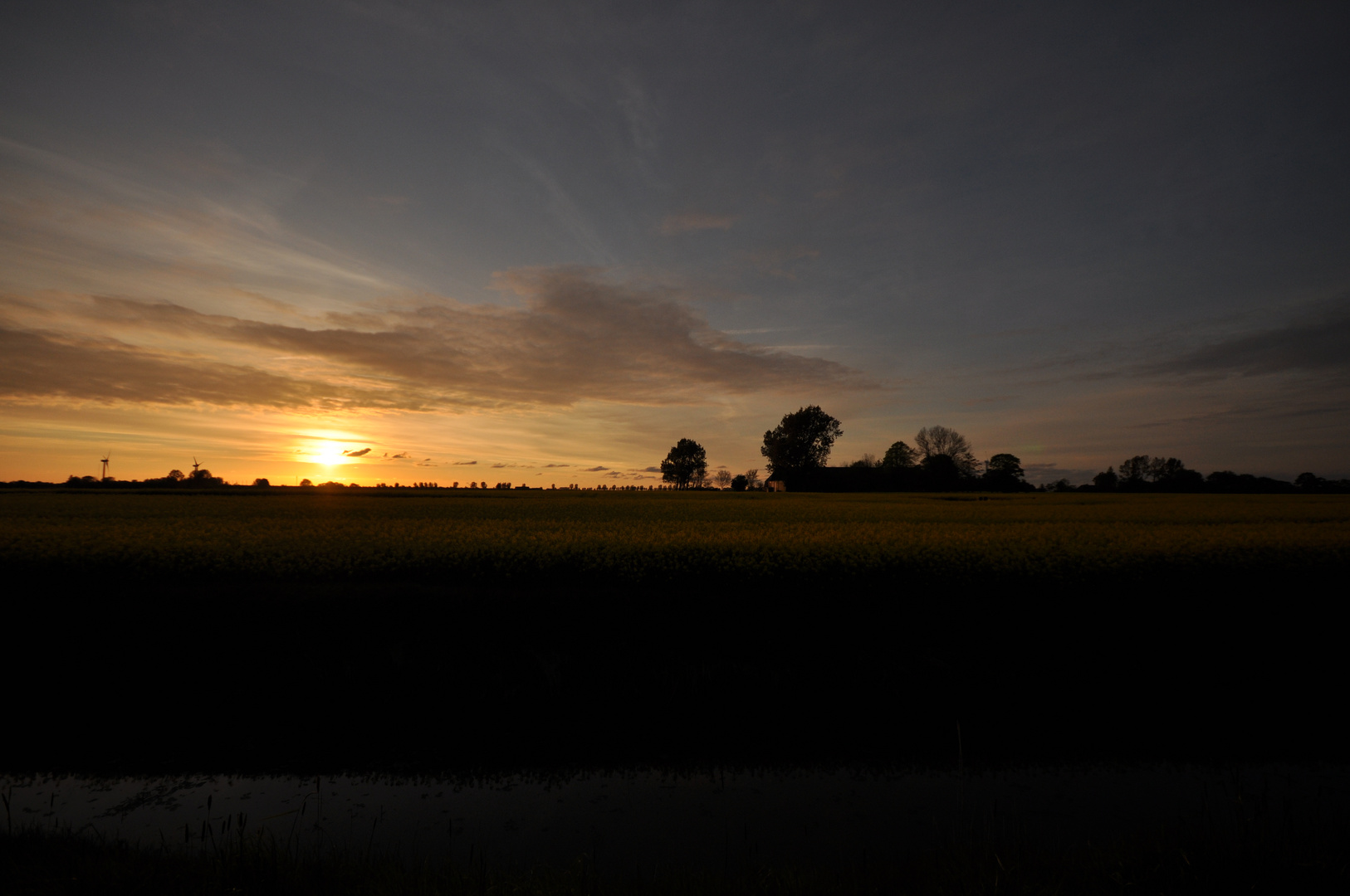 Sonnenuntergang im Rapsfeld