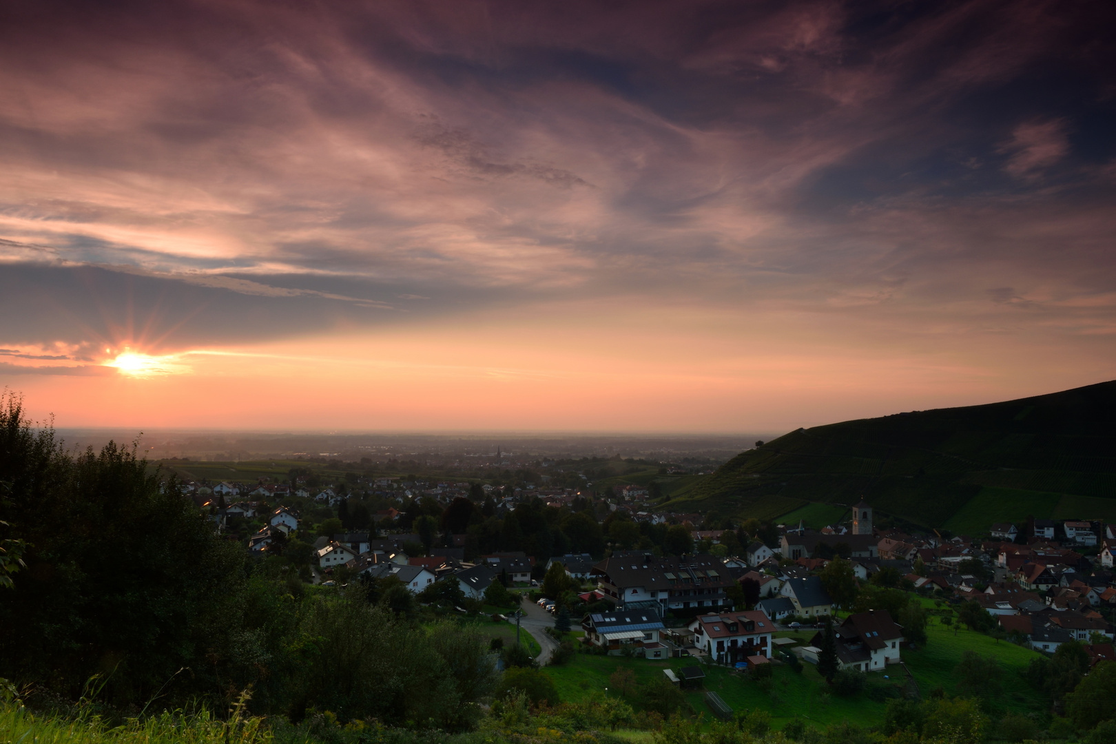 Sonnenuntergang im Rebland