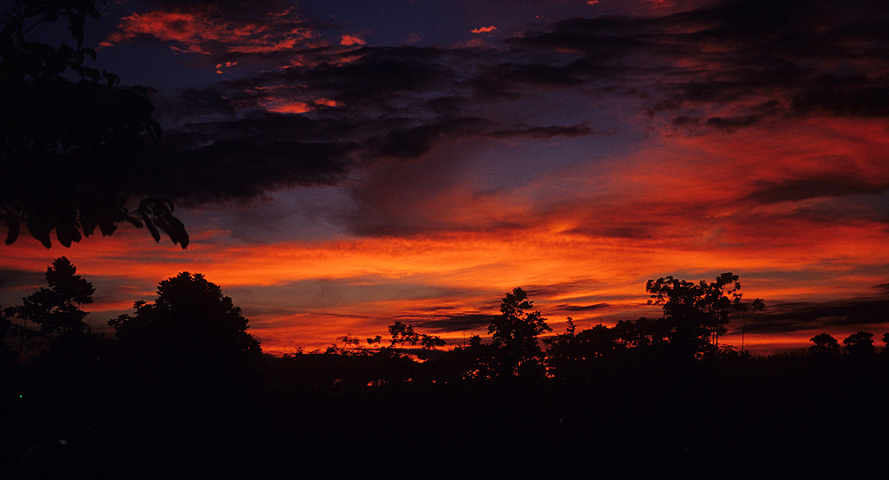 Sonnenuntergang im Regenwald