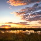 Sonnenuntergang im Rehdener Geestmoor 