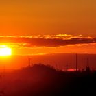 Sonnenuntergang im Revier