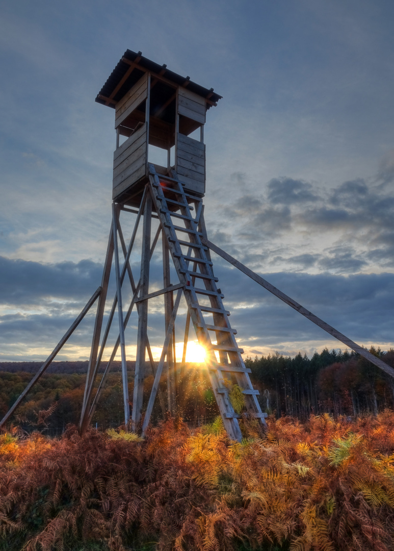 Sonnenuntergang im Revier 