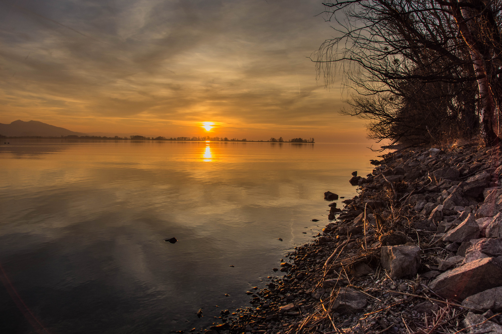 Sonnenuntergang im Rheindelta