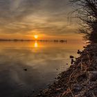 Sonnenuntergang im Rheindelta