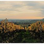 Sonnenuntergang im Rheingau