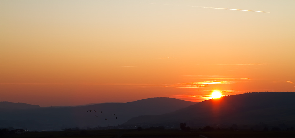 Sonnenuntergang im Rheingau