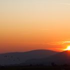 Sonnenuntergang im Rheingau