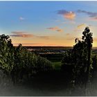 Sonnenuntergang im Rheingau