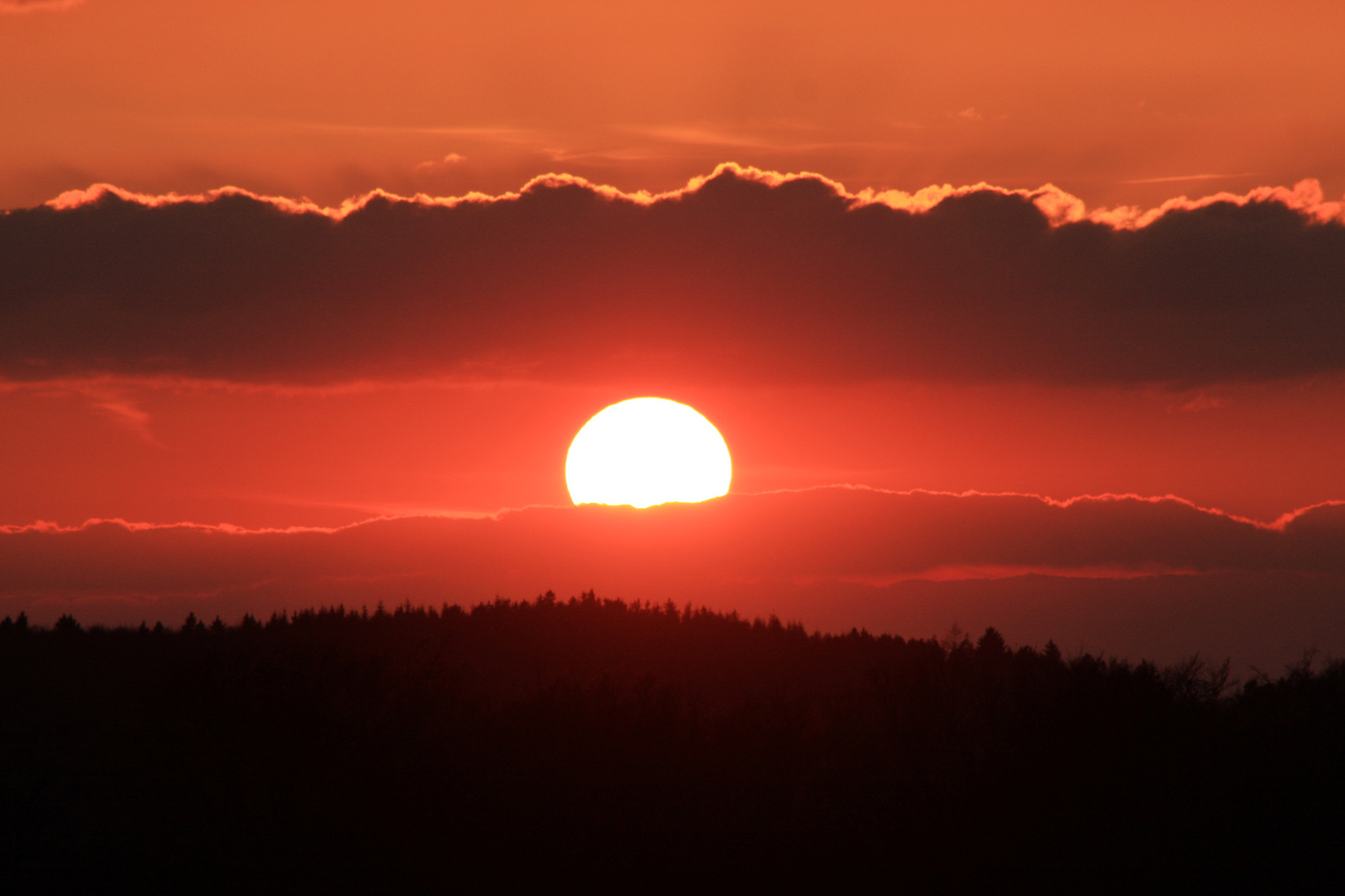 Sonnenuntergang im Rheingau