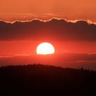 Sonnenuntergang im Rheingau