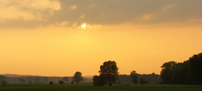 Sonnenuntergang im Ried