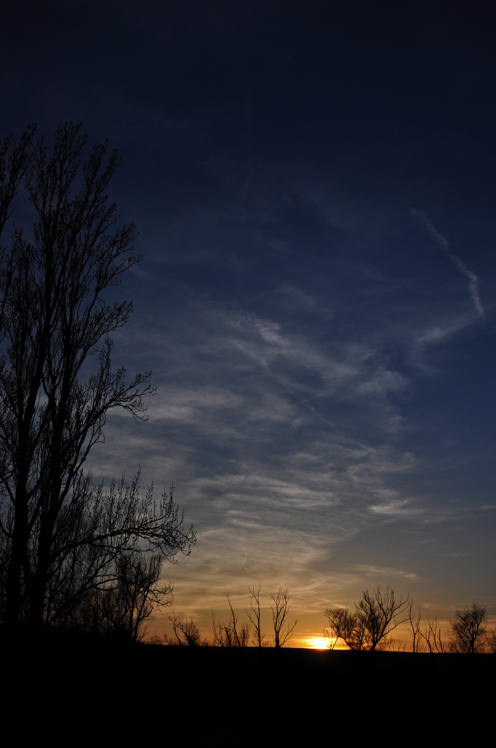 Sonnenuntergang im Ried