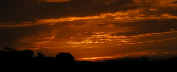 Sonnenuntergang im Ried