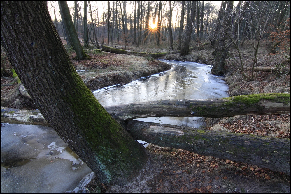 Sonnenuntergang im Rotbachtal