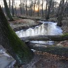 Sonnenuntergang im Rotbachtal