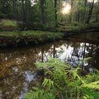 Sonnenuntergang im Rotbachtal