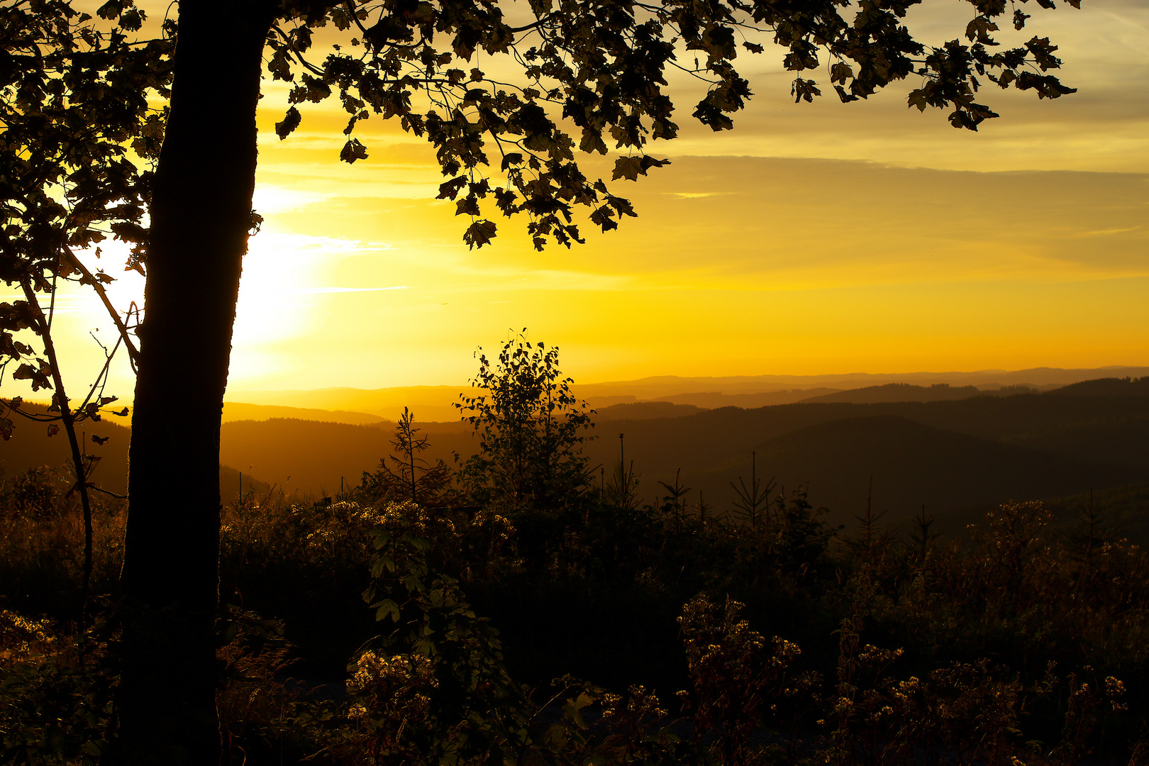 Sonnenuntergang im Rothaargebirge / Bild 1