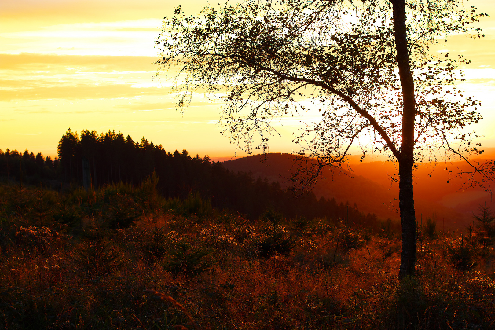 Sonnenuntergang im Rothaargebirge / Bild 2