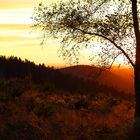 Sonnenuntergang im Rothaargebirge / Bild 2