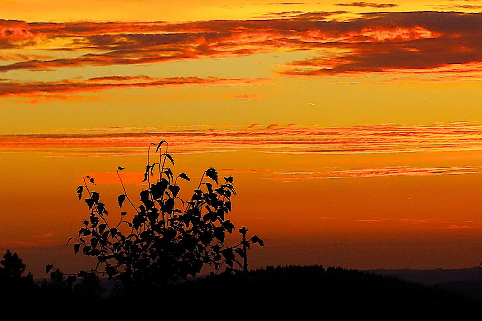Sonnenuntergang im Rothaargebirge / Bild 5