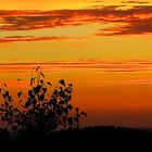 Sonnenuntergang im Rothaargebirge / Bild 5