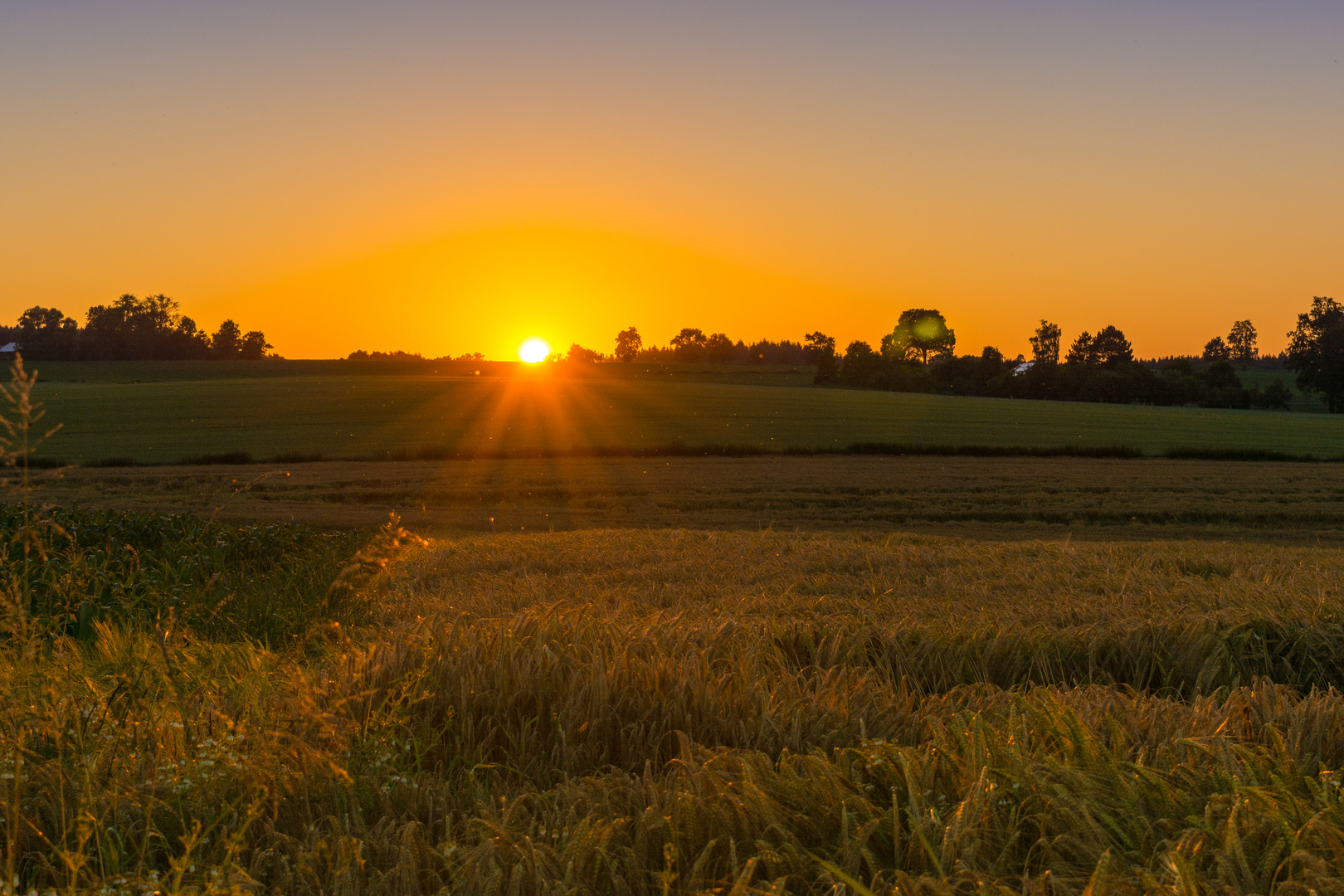 Sonnenuntergang im Rottal 2