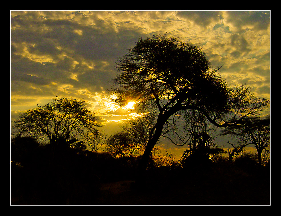 Sonnenuntergang im Ruaha NP/Tanzania
