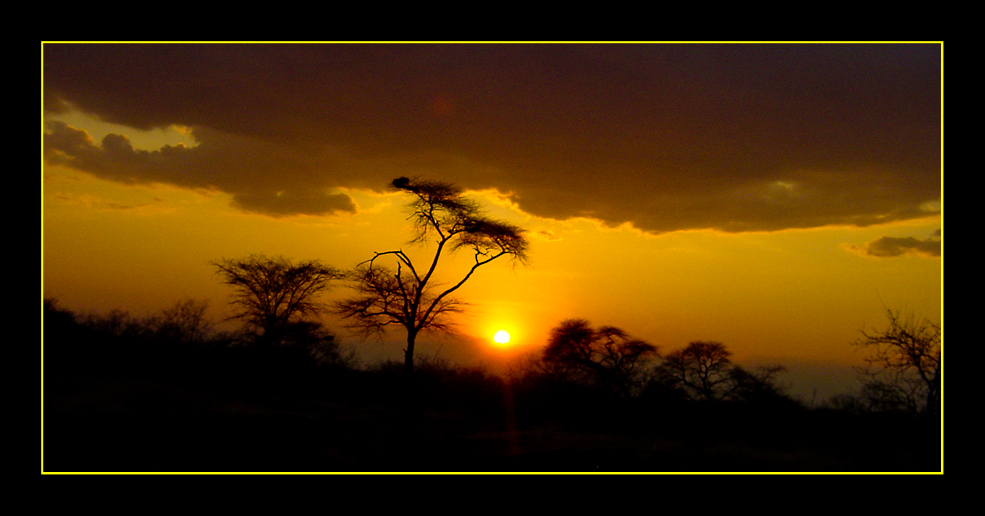 Sonnenuntergang im Ruaha NP/Tanzania #2