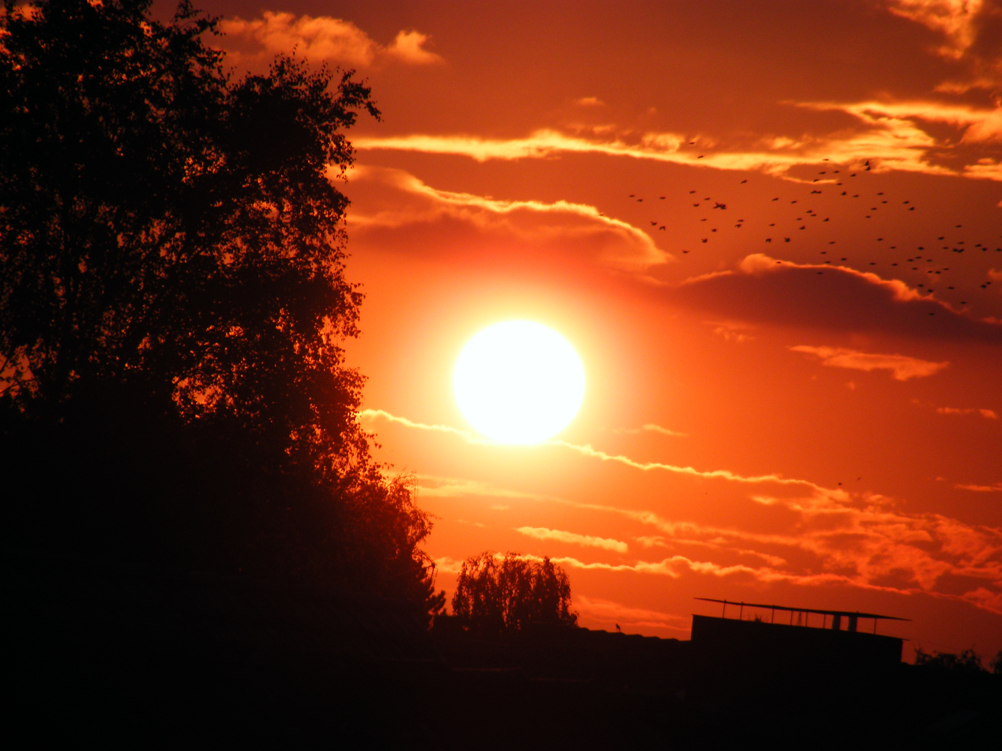 Sonnenuntergang im Ruhegebiet