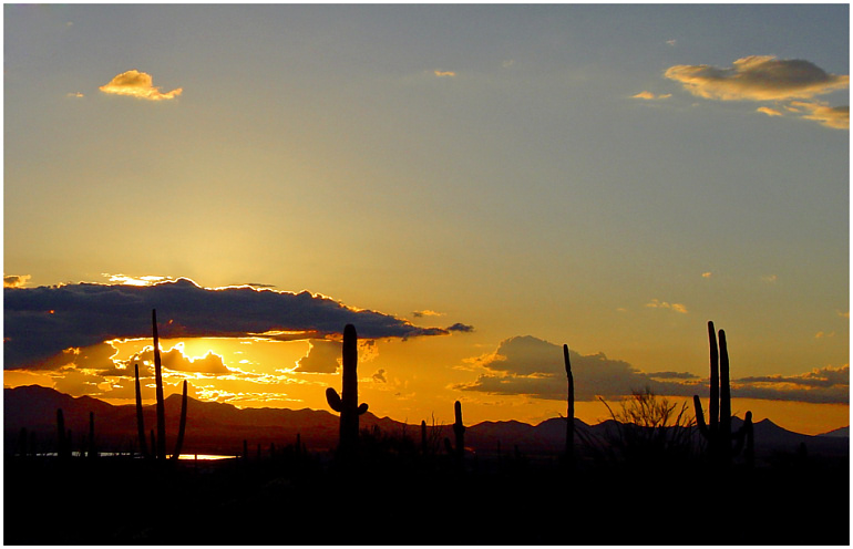 Sonnenuntergang im Saguaro Nationalpark