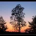 Sonnenuntergang im Sauerland (6)