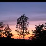 Sonnenuntergang im Sauerland (8)