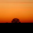 Sonnenuntergang im Sauerland