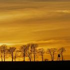 Sonnenuntergang im Sauerland I