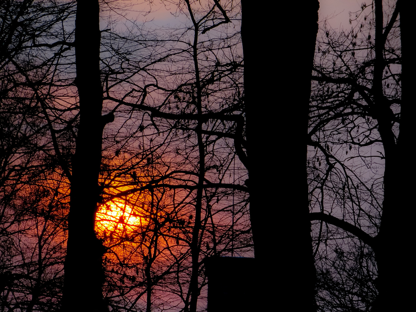 Sonnenuntergang im Scheunenvietel Steinhude am Meer