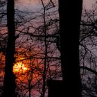 Sonnenuntergang im Scheunenvietel Steinhude am Meer