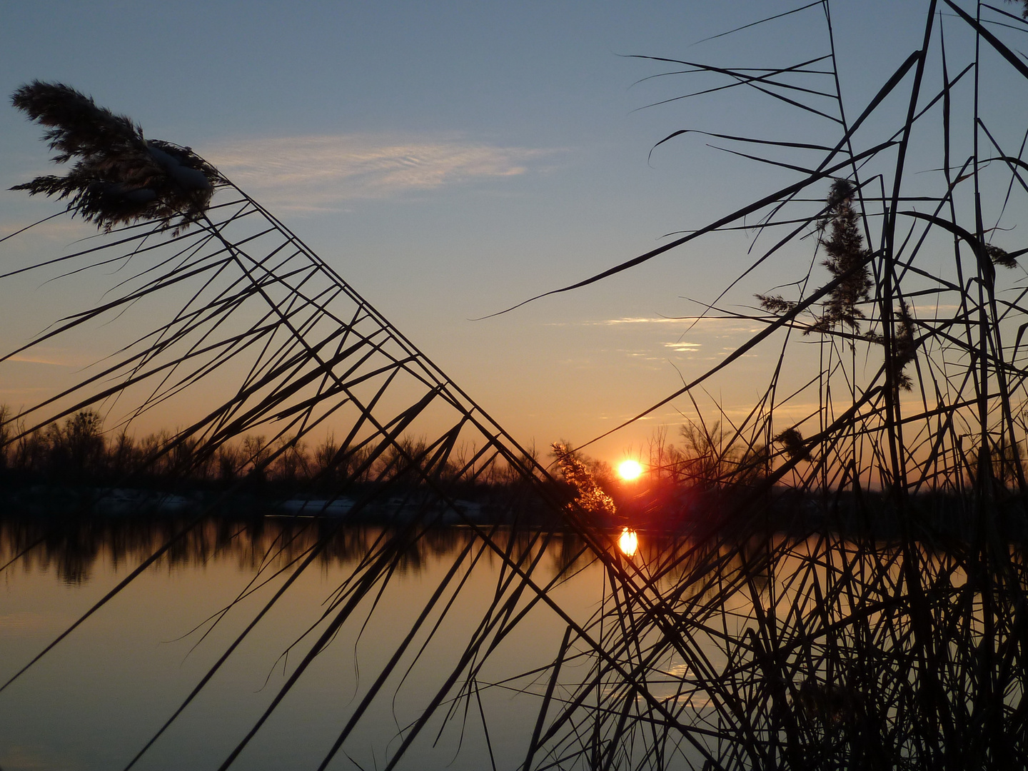 Sonnenuntergang im Schilf