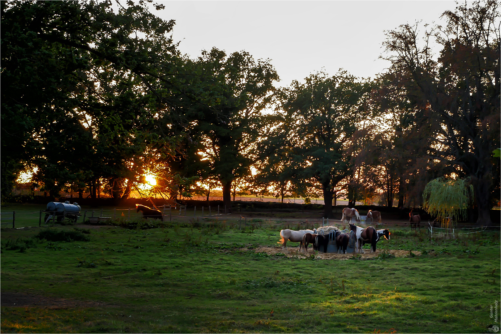 Sonnenuntergang im Schlosspark Altenhausen