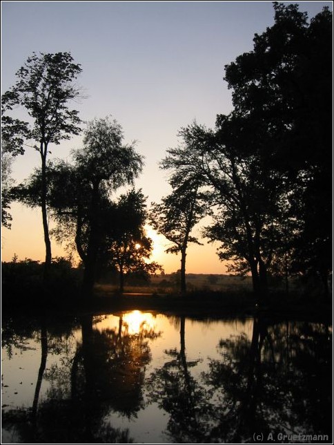 Sonnenuntergang im Schlosspark Belvedere