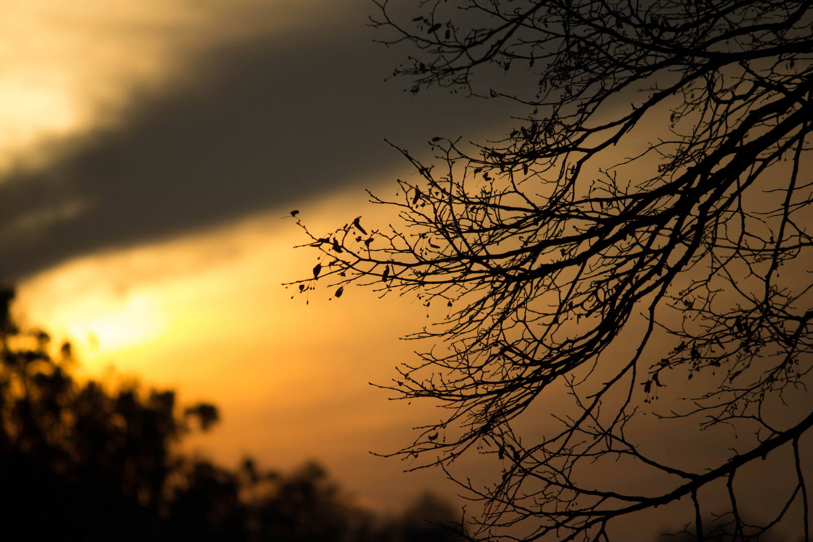 Sonnenuntergang im Schloßpark Nymphenburg