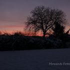 Sonnenuntergang im Schnee