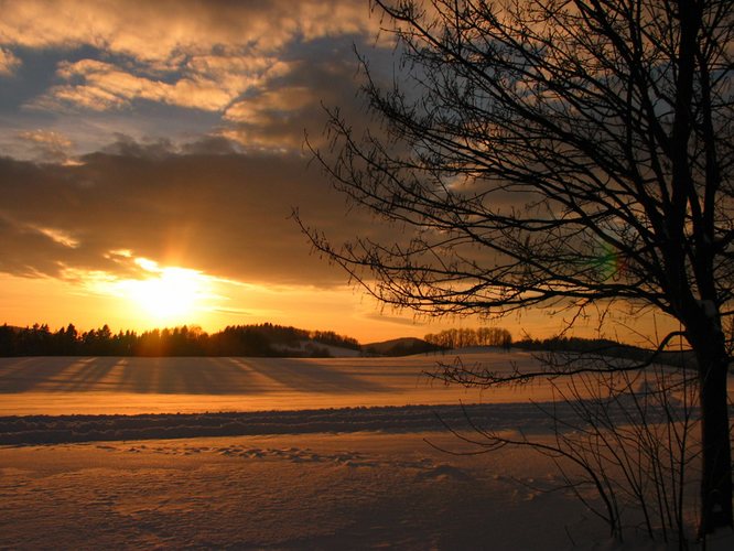 Sonnenuntergang im Schnee