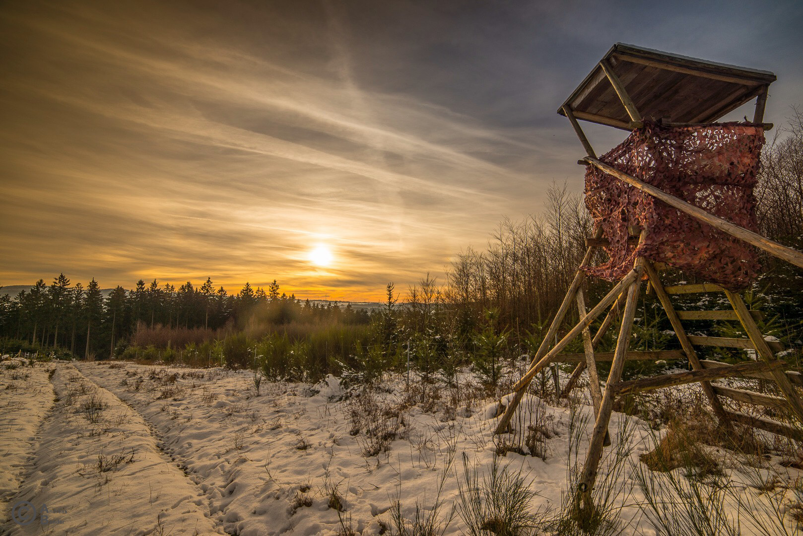 Sonnenuntergang im Schnee