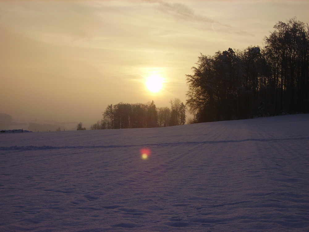 Sonnenuntergang im Schnee