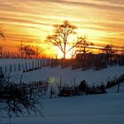 Sonnenuntergang im Schnee