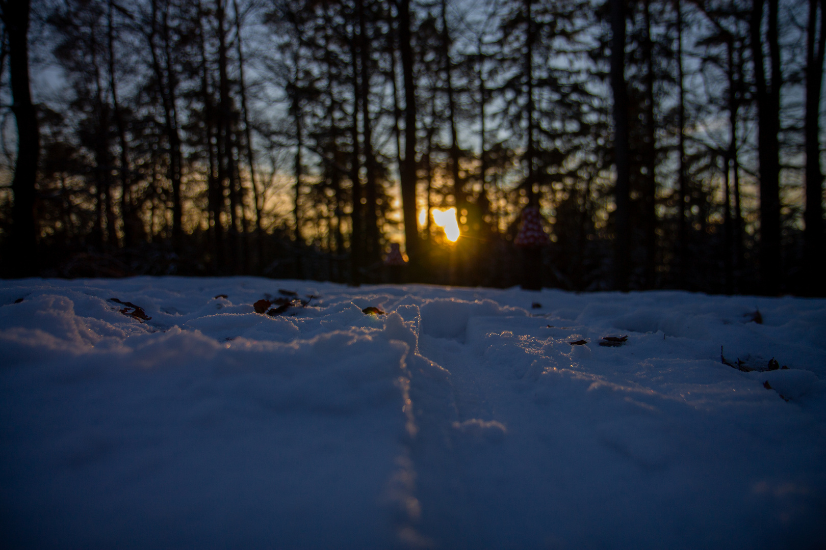 Sonnenuntergang im Schnee