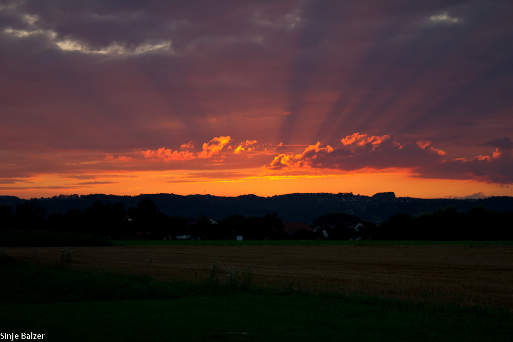 Sonnenuntergang im Schussental